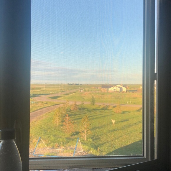 Meet your Posher, Raj - Picture 1 of 1